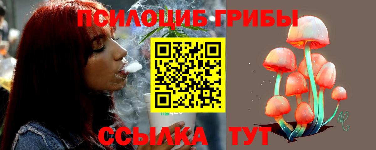 Дубна  Галлюциногенные грибы мицелий  Вход с VPN 