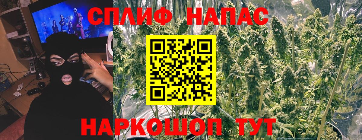 Каннабис MAZAR Дубна